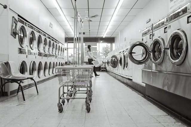 laundromat business